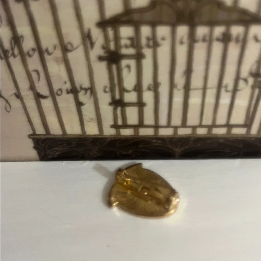 Strawberry Crystal Pin - Picture 5 of 5